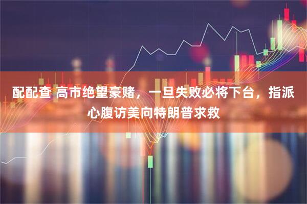 配配查 高市绝望豪赌，一旦失败必将下台，指派心腹访美向特朗普求救