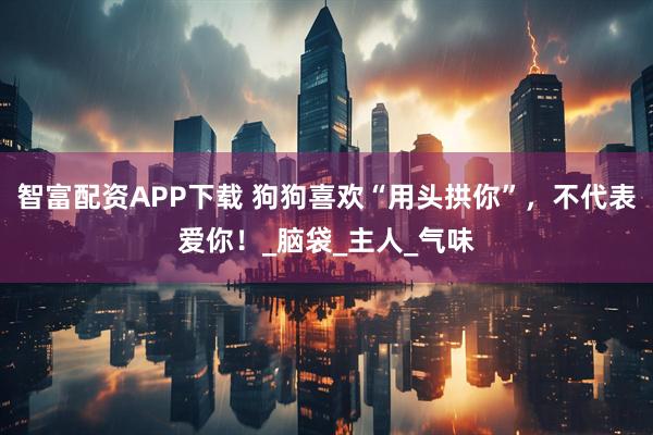 智富配资APP下载 狗狗喜欢“用头拱你”，不代表爱你！_脑袋_主人_气味